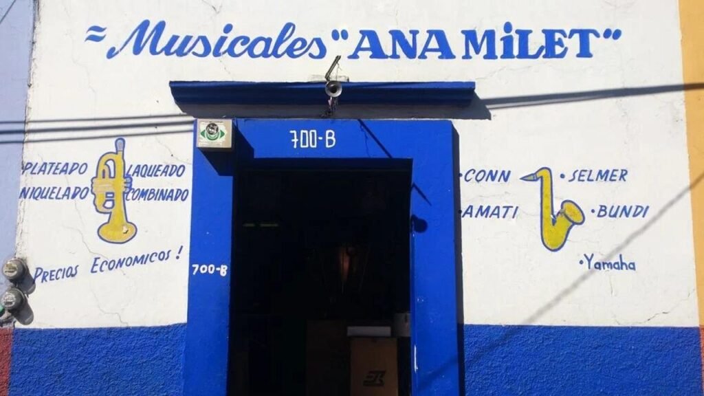 Musicales Ana Milet